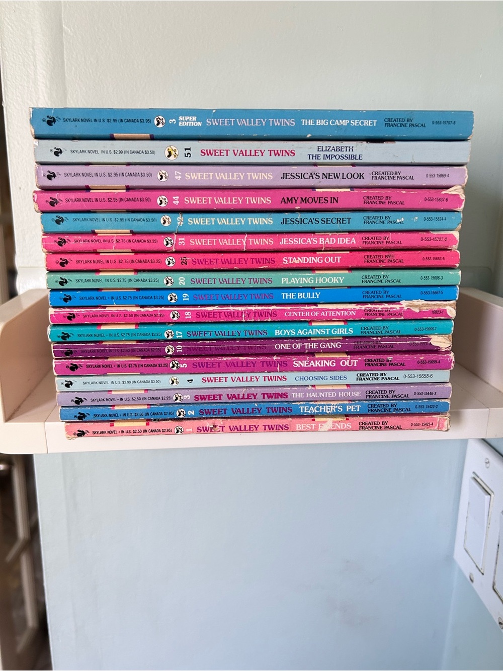 Sweet Valley Twins Book Lot